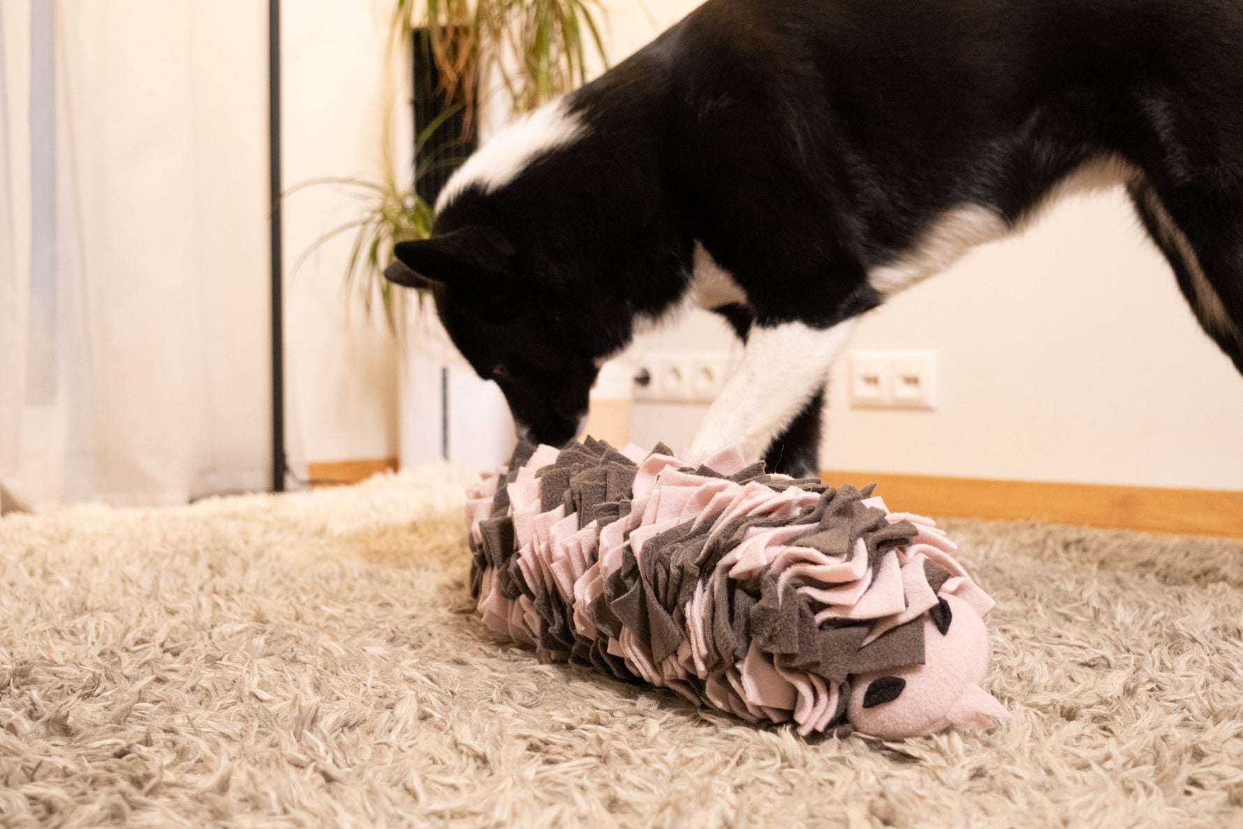How to Choose the Right Sniffing Toy for Your Dog