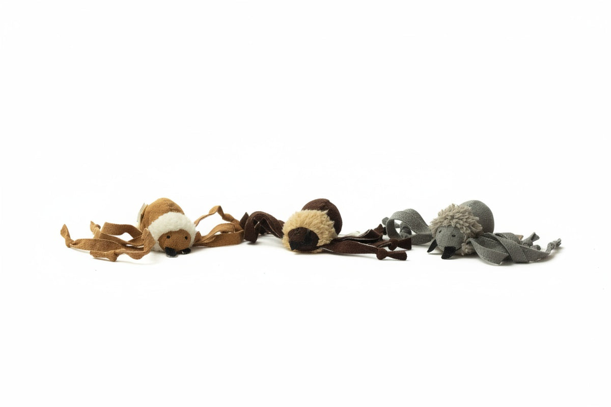 Ping Pong Spider - The Woof Toys