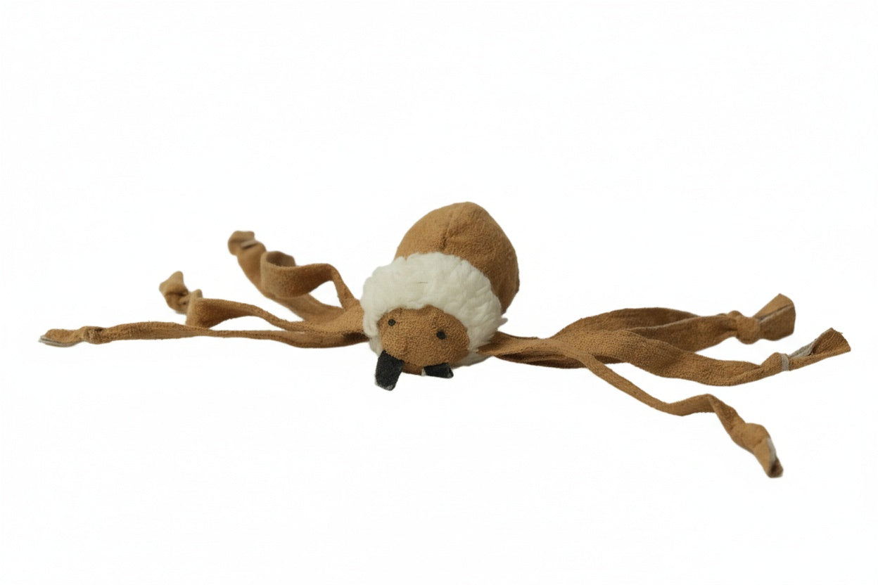 Ping Pong Spider - The Woof Toys