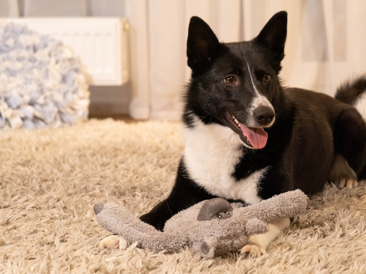 Cuddle Floppers - The Woof Toys