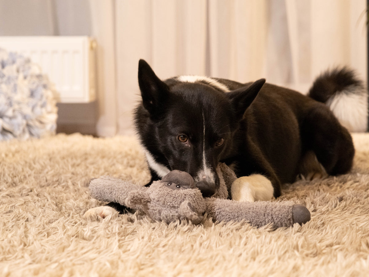 Cuddle Floppers - The Woof Toys