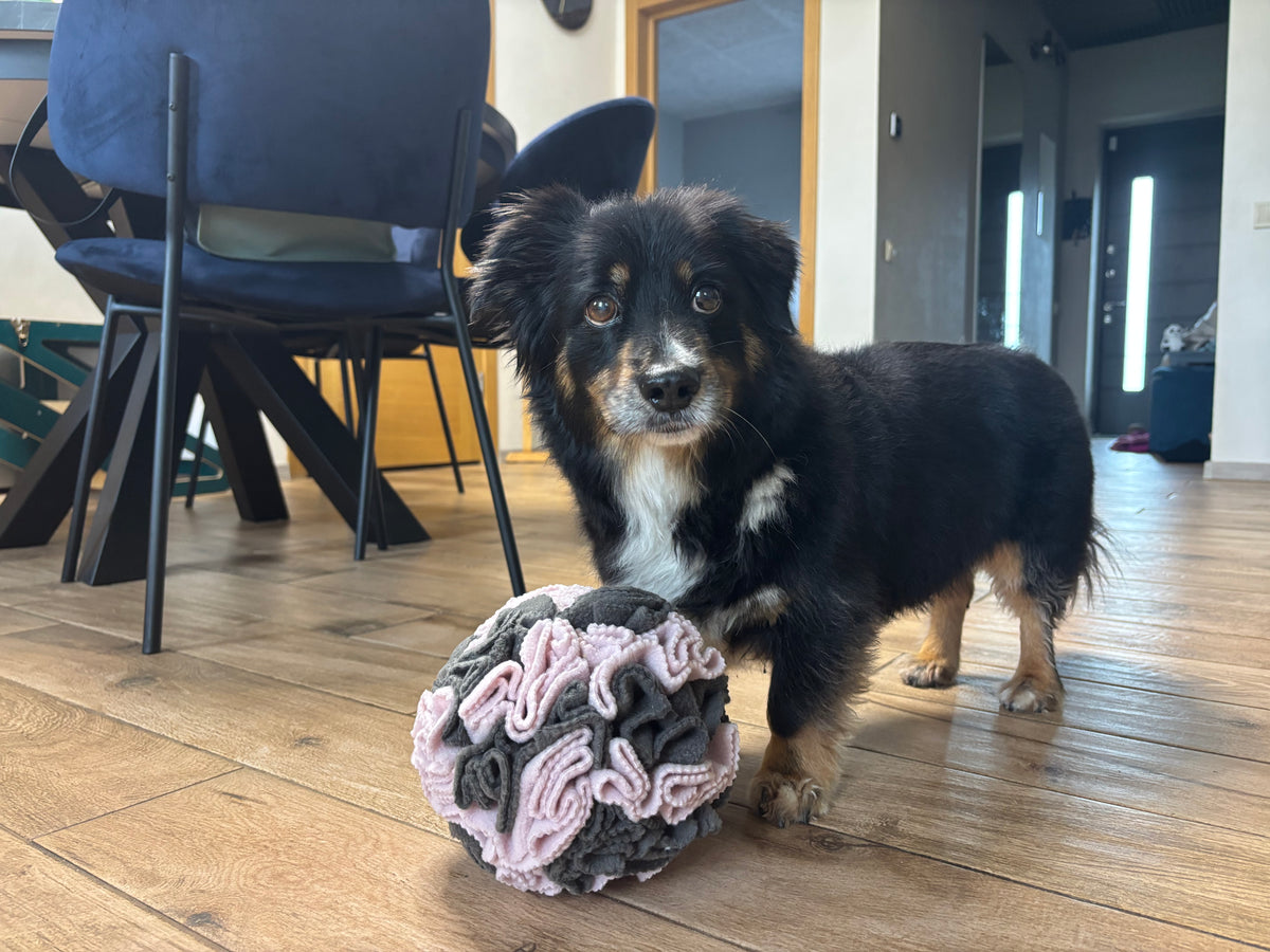 Dog enrichment toy encouraging natural foraging instincts