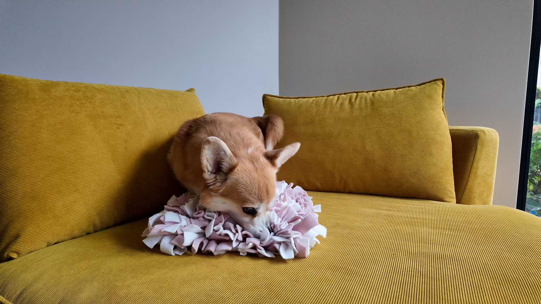 Dog enrichment mat encouraging natural sniffing and foraging