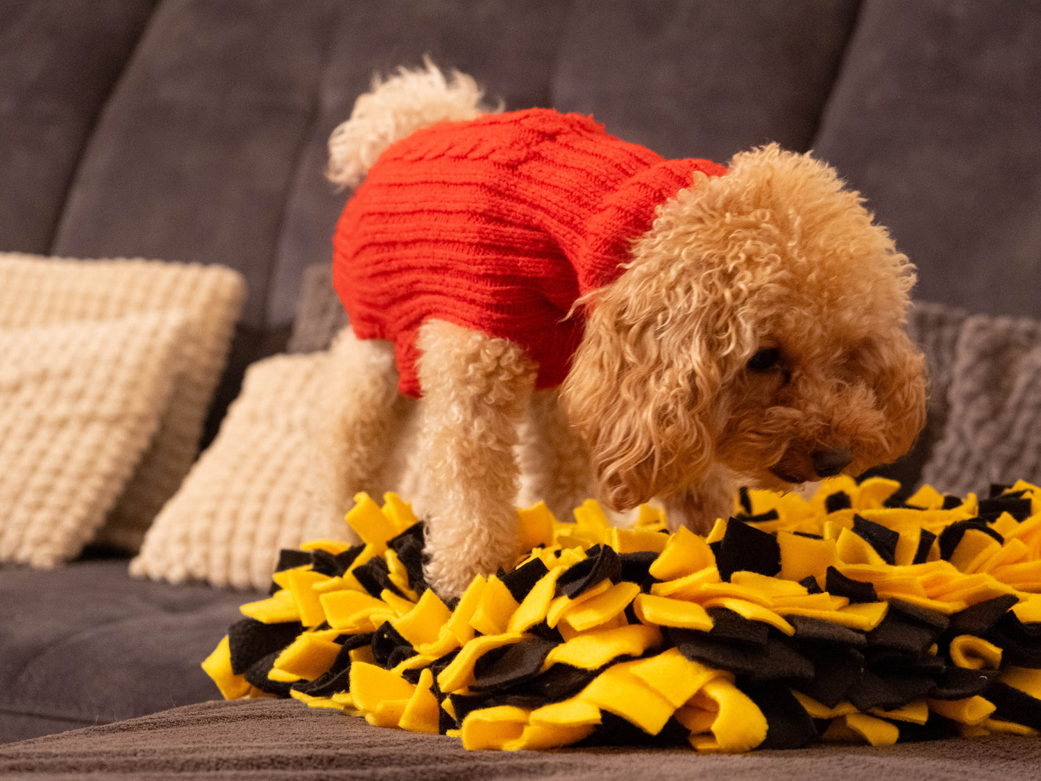 Dog using Sniffing Mat for nosework and mental stimulation.