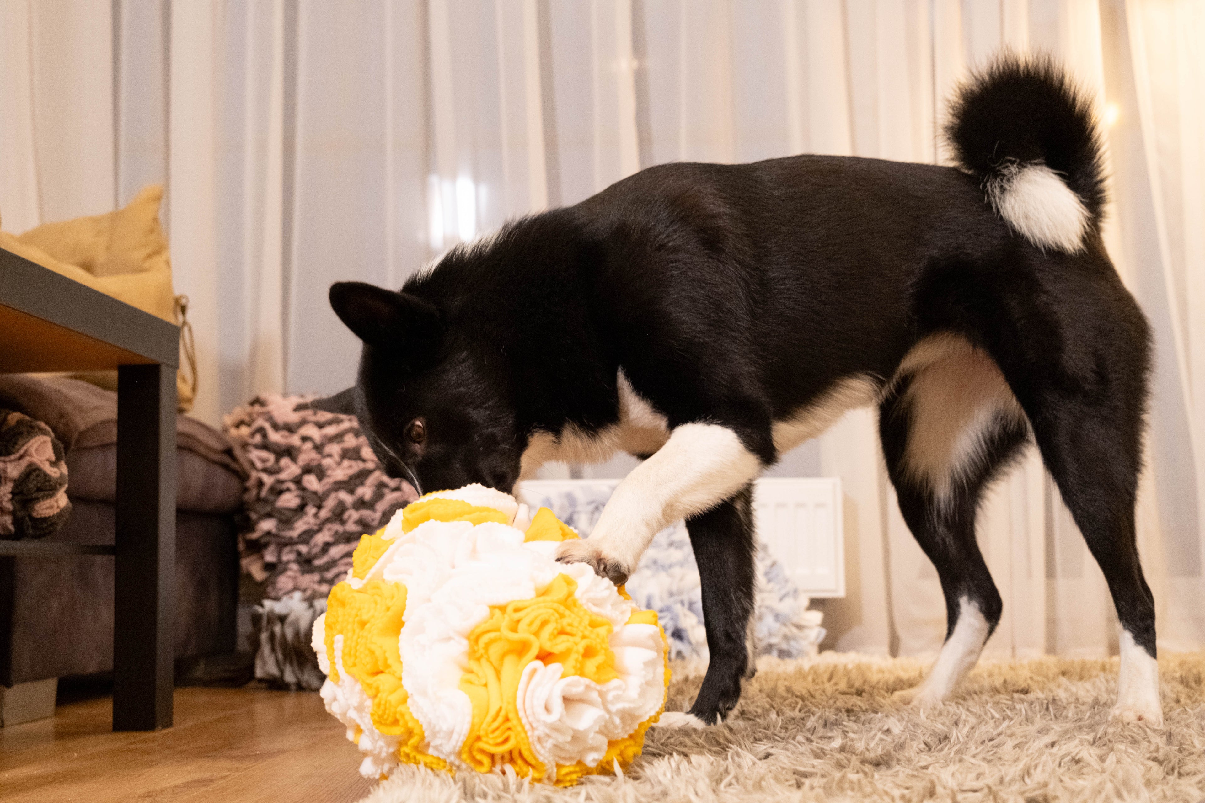 sniffing-ball-light-woof-treats-hidden