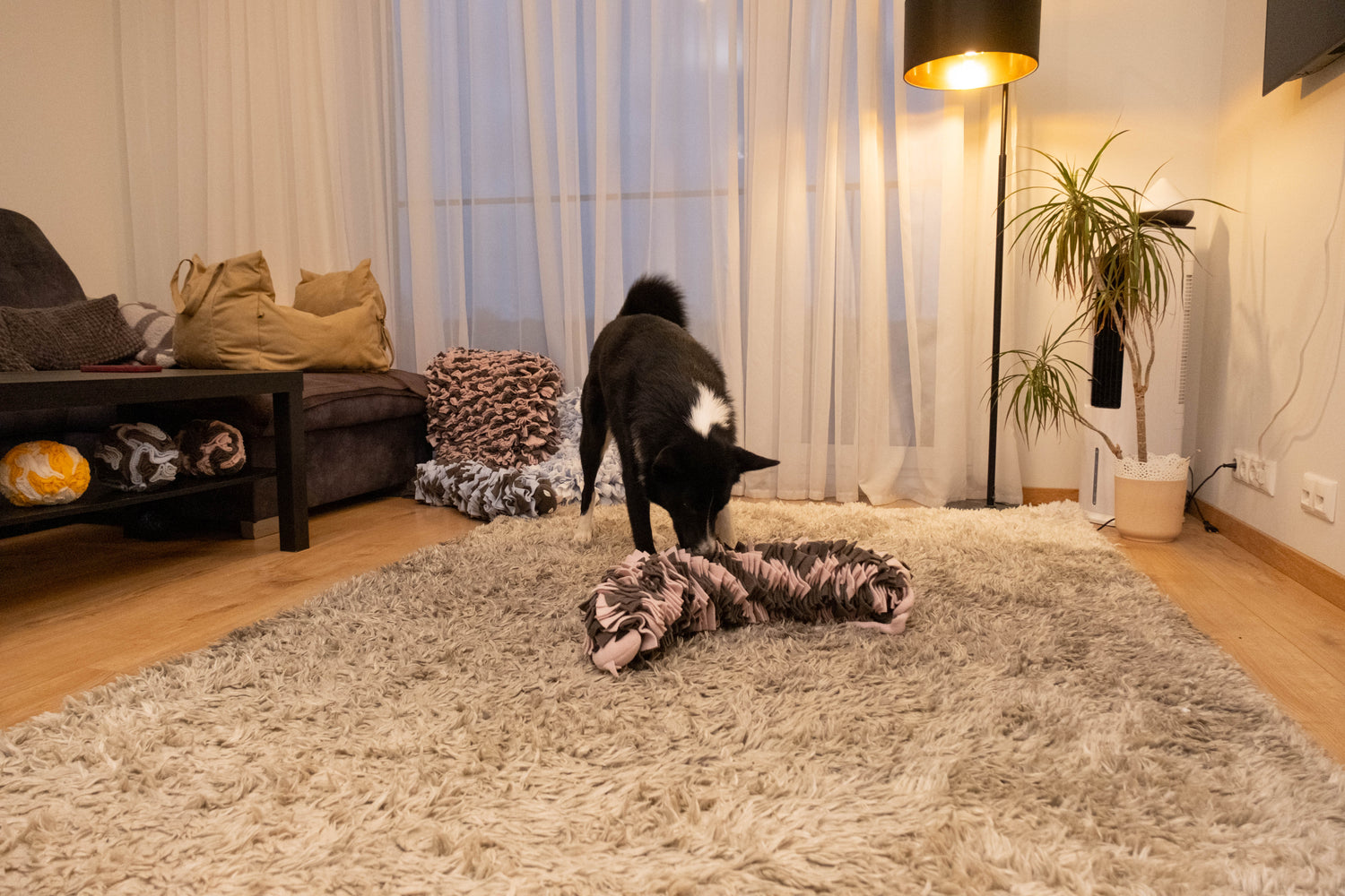 Dog sniffing treats hidden in Sniffing Snake Dark Pink