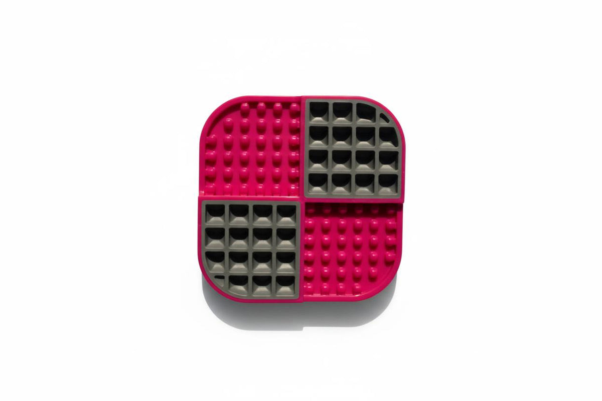 Slow feeder bowl for mindful eating and mental stimulation