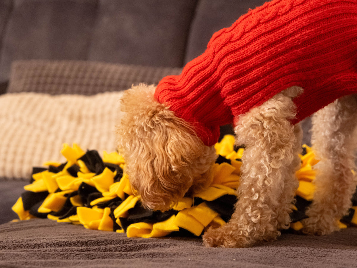 Puppy exploring Sniffing Mat with hidden treats for enrichment play.