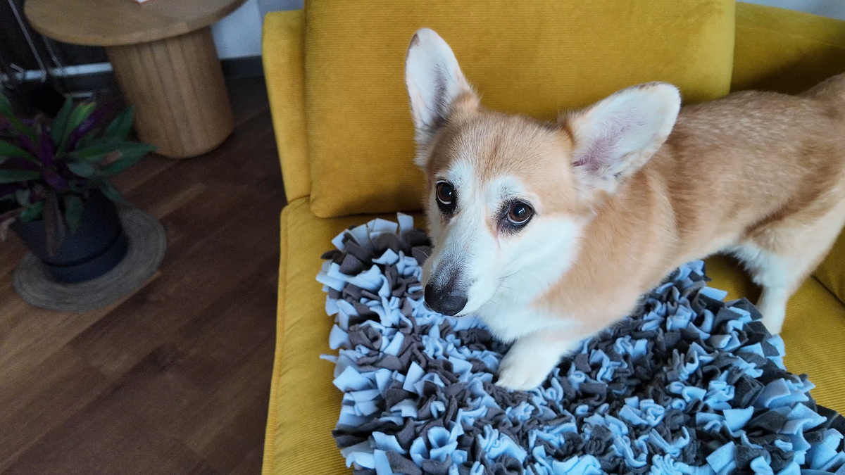 Sniffing Mat Dark Blue supporting calm mealtime enrichment