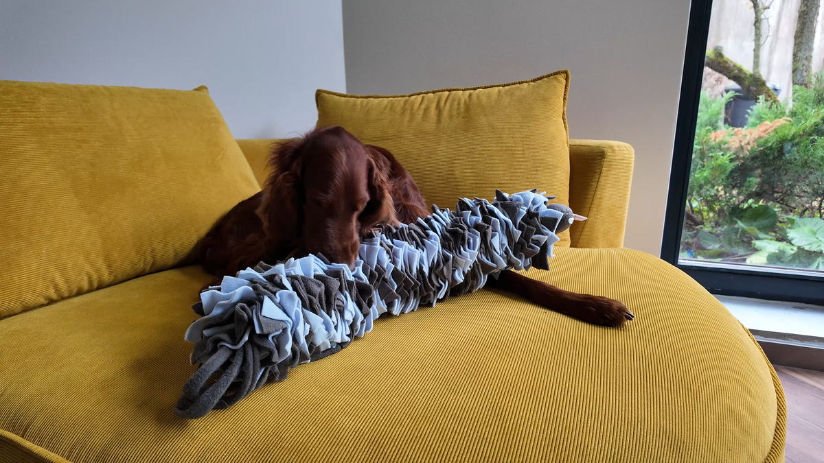 Dog lying on a yellow couch with a large ruffled dog toy