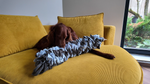 Dog lying on a yellow couch with a large ruffled dog toy