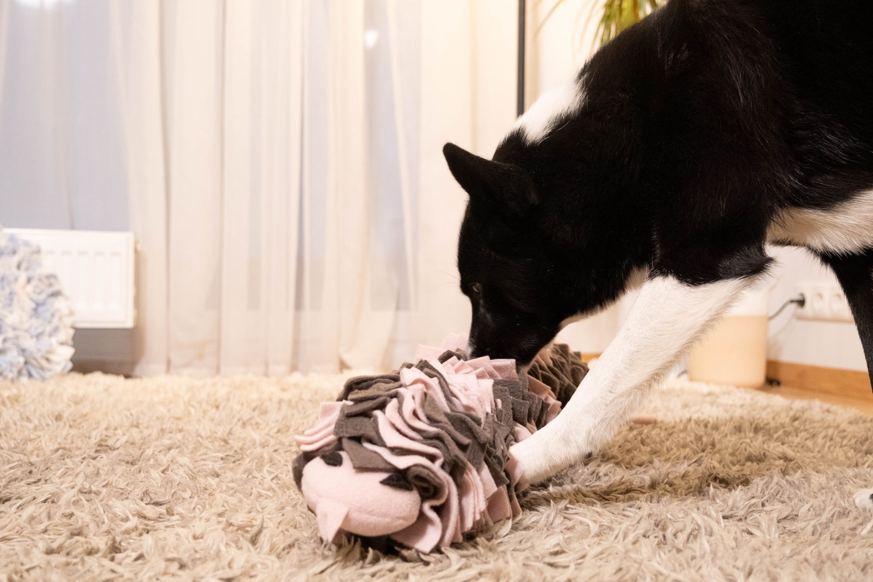Dog playing with Sniffing Snake Dark Pink for slow feeding and enrichment